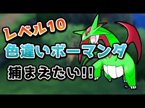 レベル10の色違いボーマンダを手に入れたい 1 ポケモンusum Youtube