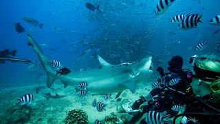 GoPro and Jeb Corliss take on bull sharks in Fiji