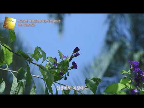 마음을 노래하다 그 두번째 노래 [허무한 인생]