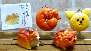 ガチャガチャ たべものに育てられた犬 Capsule Toy The dogs raised by foods.　紹介