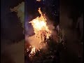 Holika Dahan #viral #trending #video #viralvideo #shortvideo #holi2023 #holikadahan #shorts #short