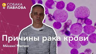 Причины рака крови - Михаил Масчан // мутации, деление и умирание клеток