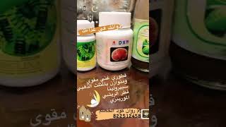 صحتك في غذاءك مع المثلث الذهبي من dxn اجر صحة و مالshorts dxn