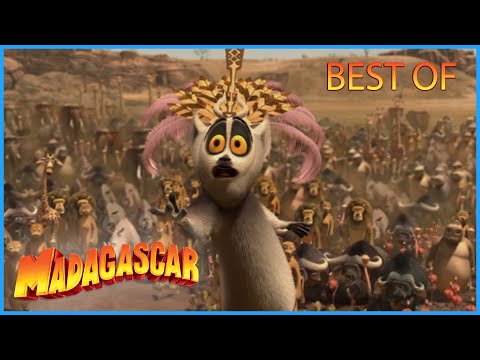 DreamWorks Madagascar  | The Lemur Best Of | Madagascar Movie Clip