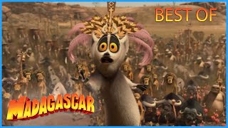 DreamWorks Madagascar  | The Lemur Best Of | Madagascar Movie Clip