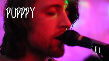 Pupppy // Cut // 8-Track Attack!