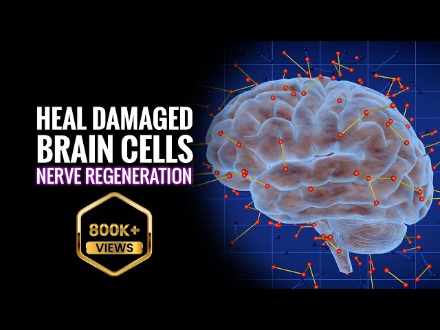 Fysik Blaze Afbrydelse Heal Damaged Brain Cells & Nerve Regeneration | Theta Binaural Beats Sound  | Brain Cell Regeneration - YouTube