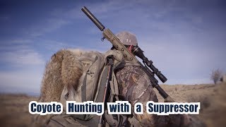 Hunting Coyotes with a Suppressor