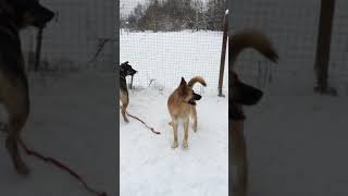 2 февраля 2018 г. 2 февраля 2018 г.