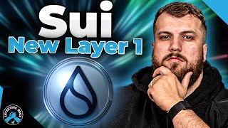 Is SUI Crypto The Next Big Layer 1? (Great Team, FAST Network)
