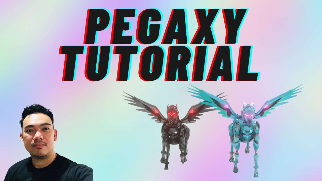 PEGAXY FULL TUTORIAL 2022