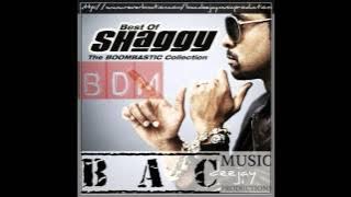 Shaggy-Mr Boombastic Breakbeat version (BDM 121 PRO)