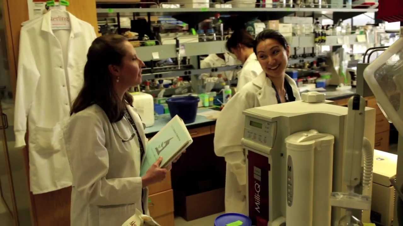 UCLA Children's Discovery and Innovation Institute | Mattel Children's Hospital UCLA