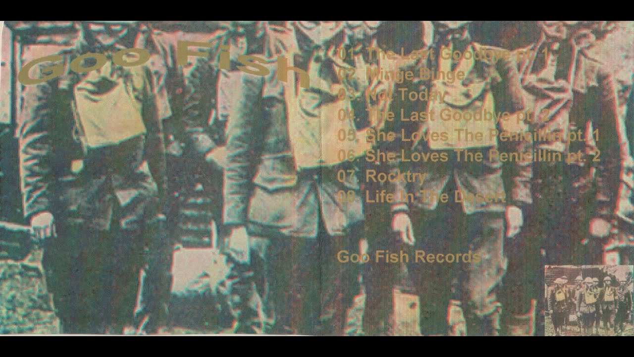 GONE ASTRAY - THE MISPLACED TAPES 2003-2007 - GOO FISH I