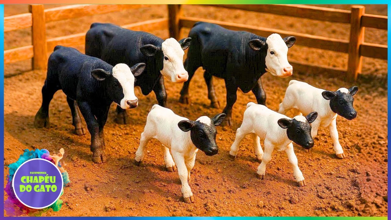 INCRÍVEL NASCERAM OS BEZERROS DAS VAQUINHAS!