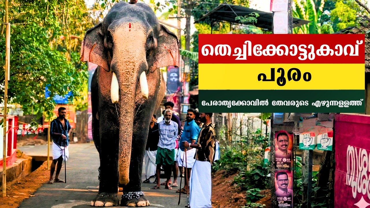 thechikottukavu pooram 2026 | perathrikovil thevar ezhunnallathu| thechikottukavu ramachandran|