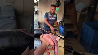 The Caviar Brat: A direct take on a "rich kid" fish egg.