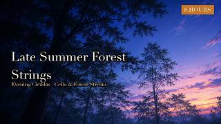 Late Summer Forest Stringsο½8 Hours Calm Cello & Violin, Evening Cicadas & Stream for Deep Sleep