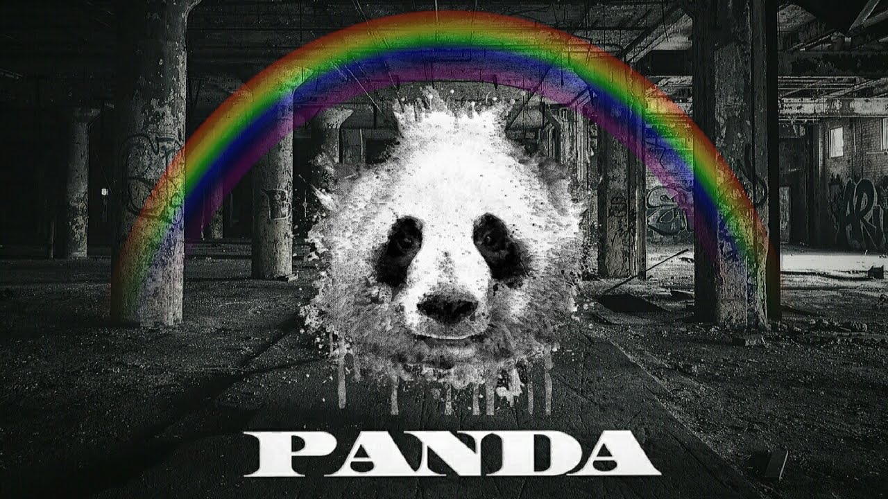 Твоя правда мы бежим. Панда е. Панда твоя правда. Панда мы бежим с тобой. Покорила меня твоя Панда.