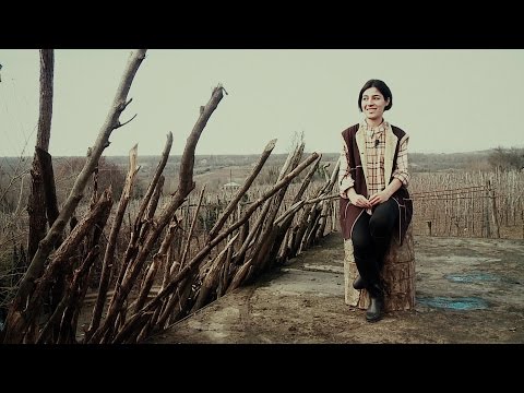 კვირას, 24 იანვარს, 12:40 საათზე - \"ფერმა\"