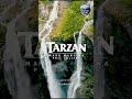 Tarzan (1999) | Calm Mix #theambientscore #philcollins