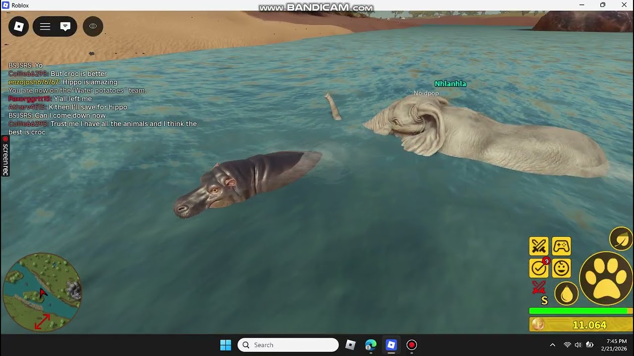 KOSING AS HIPPO IN Savannah Life