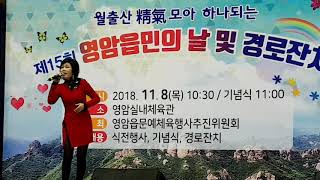 윌출산정기 모아