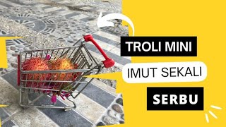 Bermain Troli Keranjang Miantur Belanja