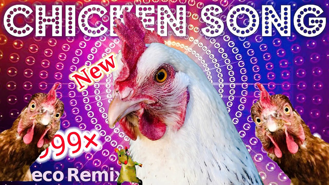 J.Geco - Chicken Song | Top5 NEW ReMix ( 999× )
