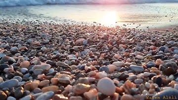 آيات من سورة فاطر || الشيخ ماجد العقل