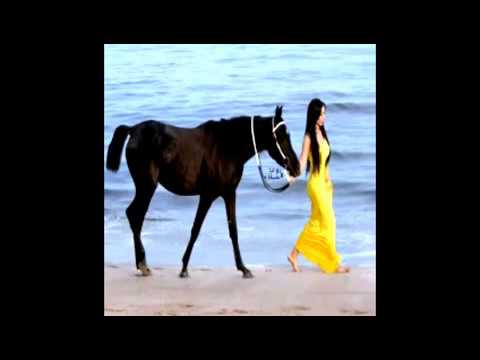 شيله ياساكن الهوجاس