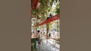When scaffolding becomes the identity of the space