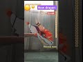 I remember when I first made her 😭#art #dragonpuppet #dragon #papercraft #dragonpupett #paperdragons