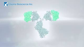 Affinity Maturation of Existing Antibodies using the ADLib® Platform - Chiome Bioscience