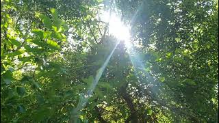 とーちゃん農園ゴリランド Gori Land