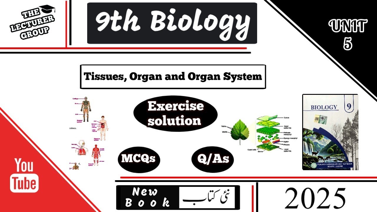9th class biology unit 5 exercise solution | Tissues, Organ and organ ...