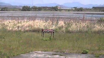 DJI Wookong M GO HOME ACCURACY　TEST