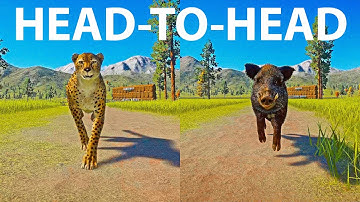 Wild Boar vs Cheetah A Head to Head Speed Race in Planet Zoo
