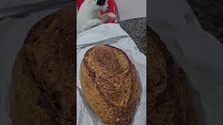 Pão italiano meu favorito