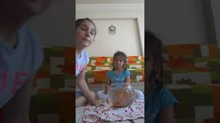 Evimize yeni balık aldık;PAMUK ve ŞEKER