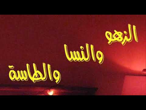 الشيخ مامو الزهو و النساء و الطاسة