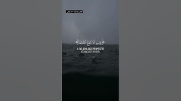 أبدع واتقن في التلاوة القارئ إبراهيم أحمد لطفي