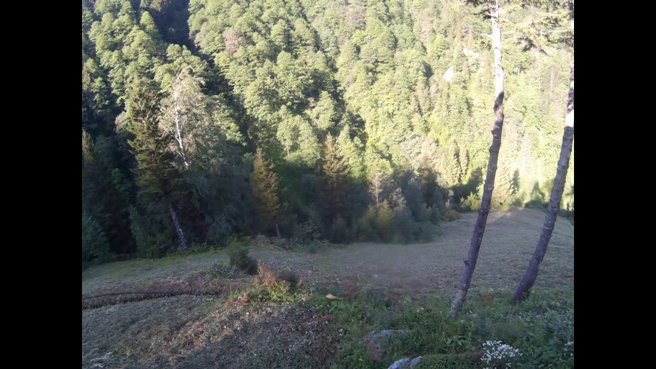 Yokuş Yukarı Hayatlar