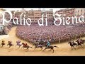 Palio di Siena, Tuscany, Italy, Europe
