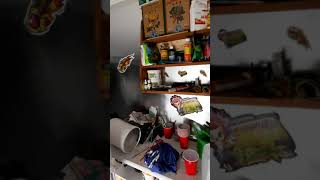 Auto Flower Grow update Series 1 Episode 6 (New Auto Flower Grower) #g13 #jackherer #beginner