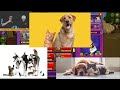 Beginning of video