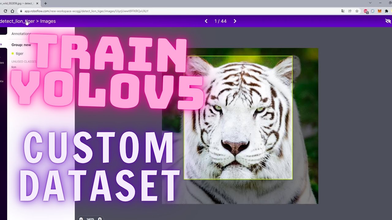 Train Yolov5 on Custom Dataset 2022 - YouTube