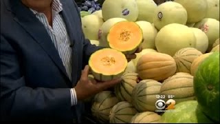 Detailed Fresh Grocer: Melon Information
