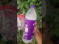 food business തുങ്ങുന്നുണ്ടോ എങ്കിൽ ❗ #business #foodbusiness #watertest #startup #shorts