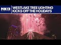 Watch: Westlake Tree and Star light up Seattle as holiday season begins
